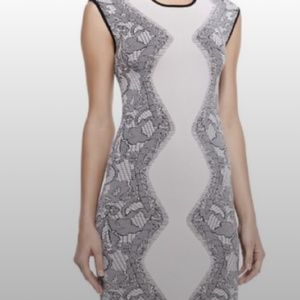 PARKER BODYCON DRESS SZ XS